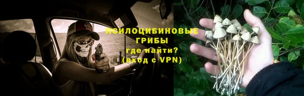 дурь Верхний Тагил