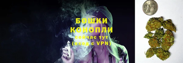 дурь Верхний Тагил