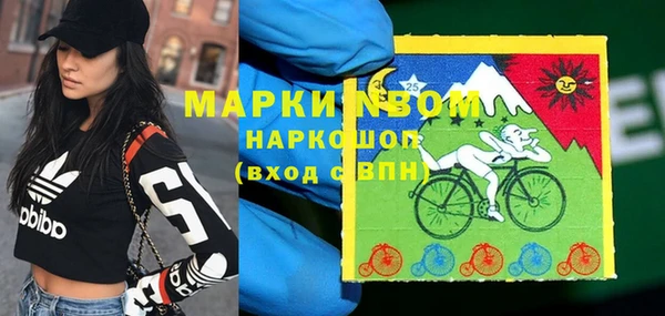 амф Верея