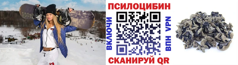 Псилоцибиновые грибы прущие грибы  магазин продажи   Кирс 